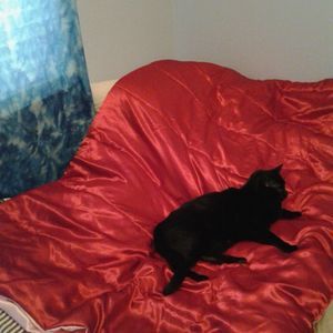 Meet your Posher, Virginia